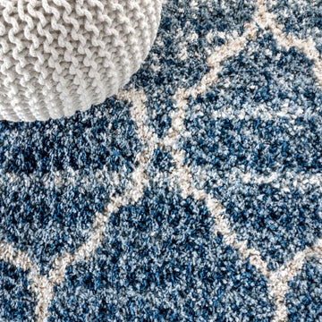 Susa Ogee Moroccan Trellis Shag Area Rug